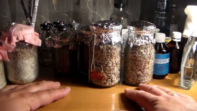 Когда всё пошло не так,как надо. смотреть онлайн