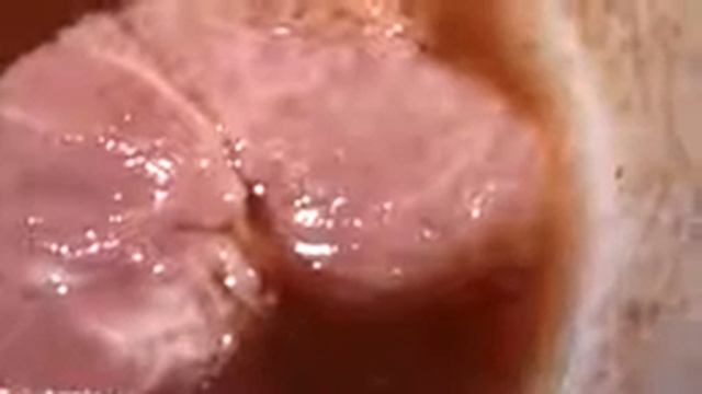 Есть ли черви в свинине если залить колой