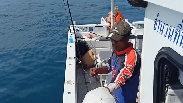 Морской монстр: все в шоке от этого крокодила!│Рыбалка в Таиланде, Краби 2023 смотреть онлайн