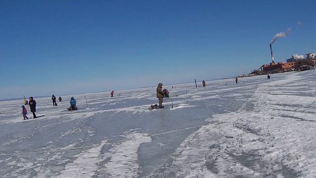 фестиваль Народная рыбалка на набережной Владивостока 25 02 2023 смотреть онлайн