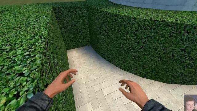 Maxwell Cat Family In Maze (part 2)