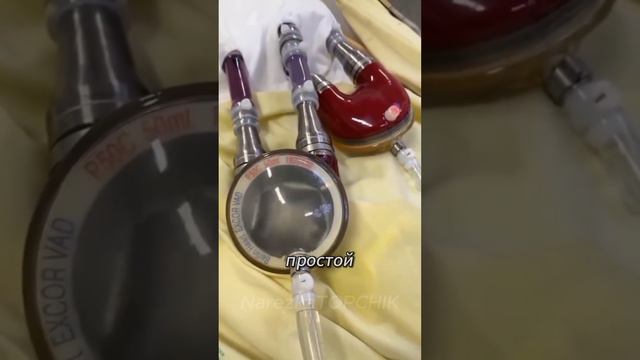 Насос жизни