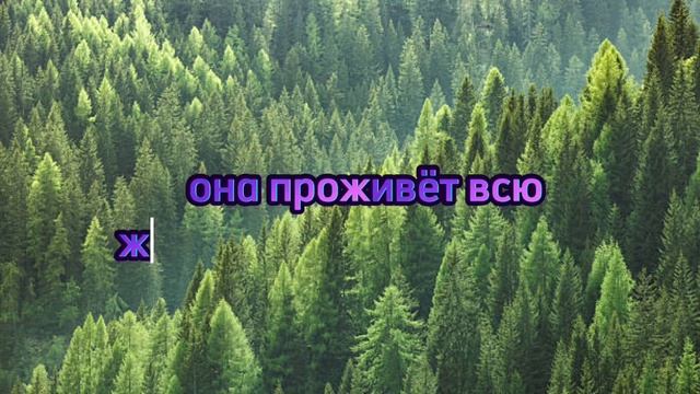 Умные мысли Цитаты великих смотреть онлайн