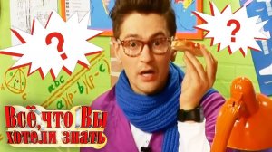 Как появился хлеб? Откуда берется голос? Откуда в кране вода? - Всё, что вы хотели знать