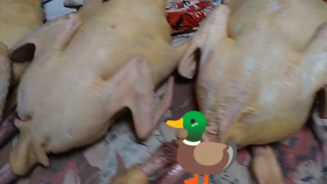 УТКИ МУЛАРДЫ. Забили, почистили, надули, продали, сварили домашнюю ЛАПШУ. смотреть онлайн