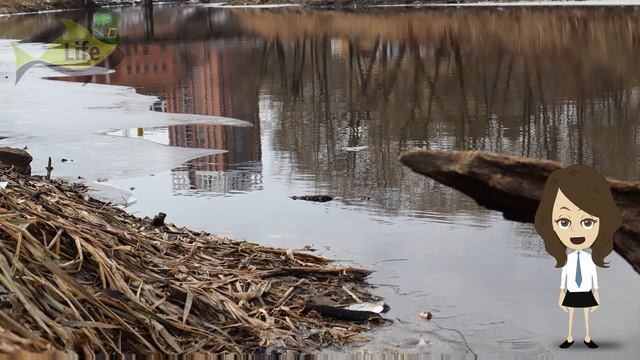Как на что и где ловить карася в марте на поплавочную удочку и фидер? Карась весной в марте рыбалка смотреть онлайн