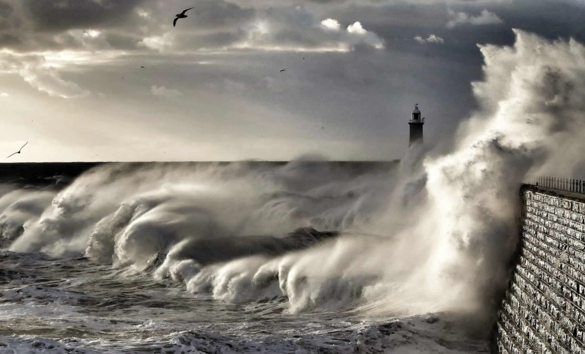 К ВЕТРУ "ЛОДОС"... ДЛЯ ВСЕХ... ВЕДЬМИНА ИЗБА ● ИНГА ХОСРОЕВА смотреть онлайн