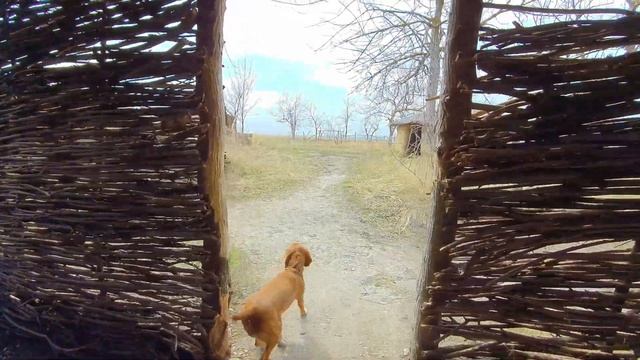 Дивногорье. Музей-заповедник под открытым небом. Воронеж смотреть онлайн