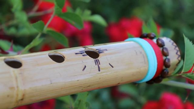 Flétna severoamerických indiánů. Flute of the North American Indians G#m. Пимак смотреть онлайн