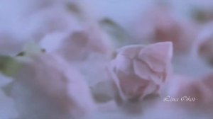 Я тебя люблю ღ группа Токио