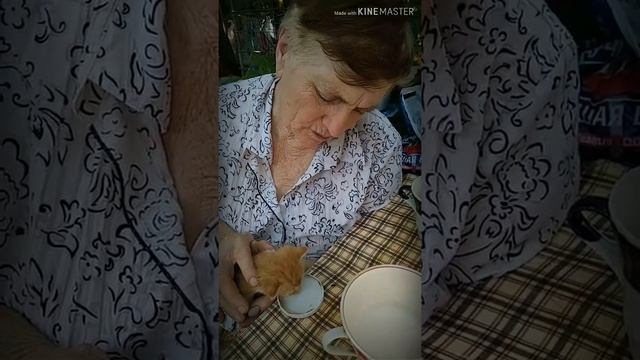 Сколько жизней у человека... !?!?? смотреть онлайн
