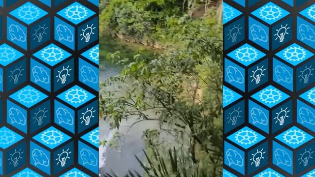 45 Неловких Случаев, Когда Что-то Пошло Не Так смотреть онлайн