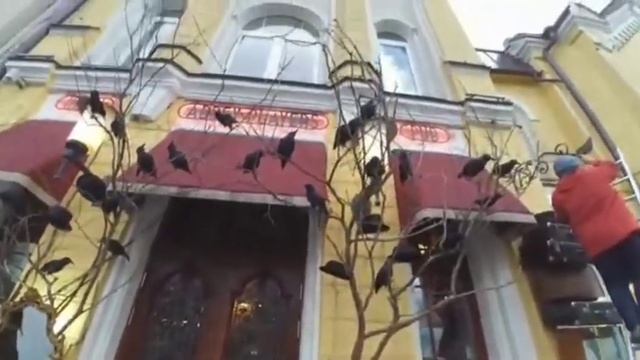 Да я шоке , бабушка больнице кроет матом . смотреть онлайн