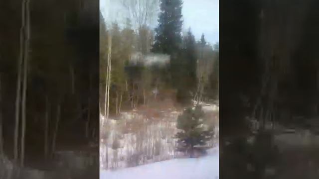 Электропоезд. Санкт-Петербург( главный)-Кириши. смотреть онлайн