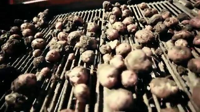 МСК: Картофель каждый день - Розалинд смотреть онлайн