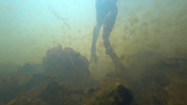 Под водой. Часть первая. смотреть онлайн