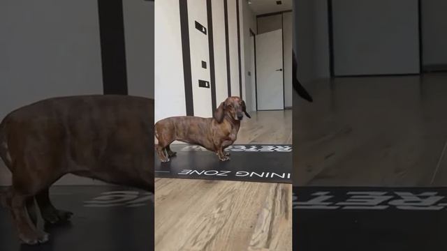 Спортивная минутка смотреть онлайн