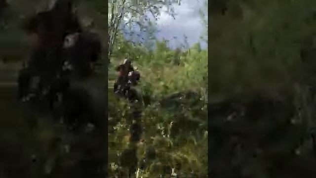 ЗА СЕМГОЙ!!! на СТЕЛС ДЕСНА 220 по болотам Кольского полуострова + Стелс дельта 200 смотреть онлайн