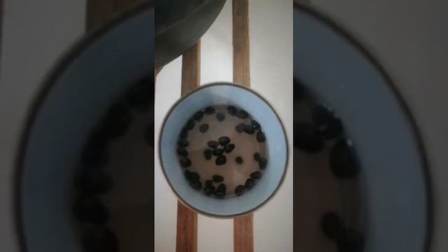 Стратификация семян кедра сибирского 19.01.21 смотреть онлайн