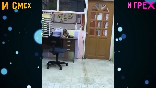 #30-minut-smexa-do-slez-cudiki-iz-so-setey-i-smex-i-grex смотреть онлайн