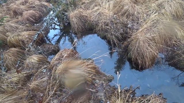 ЖИЗНЬ И ПРОМЫСЕЛ В ДИКОЙ ТАЙГЕ. 2019-2020 #19-20 ПРОДОЛЖАЕМ ГОТОВИТЬСЯ К ПРОМЫСЛУ! смотреть онлайн