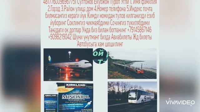 Авиабилеты Жд билеты Автобусы Новосибирск Ташкент Енг ишончли ва арзон малумот учун 79145867146
