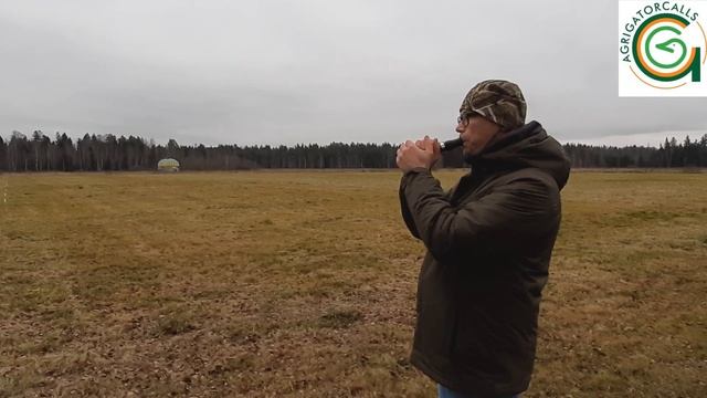Манок на белолобого гуся CallOfHunt полиацетать (дерлин) новая версия манка. смотреть онлайн