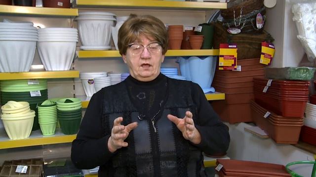 "Удачная среда" - ведём журнал садовода-огородника (Бийское телевидение) смотреть онлайн