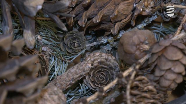 В понедельник наступает весеннее равноденствие смотреть онлайн