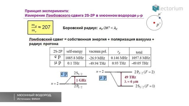 ЗАГАДКА ЗАРЯДОВОГО РАДИУСА ПРОТОНА. ЛЕКЦИЯ ЧЛ.-КОРР. РАН НИКОЛАЯ КОЛАЧЕВСКОГО смотреть онлайн