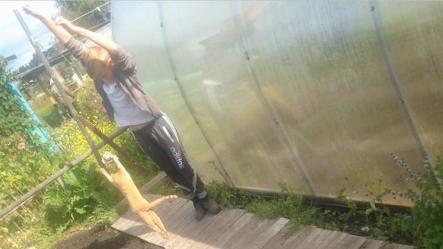 Коряжма (дача 2016 год ) смотреть онлайн