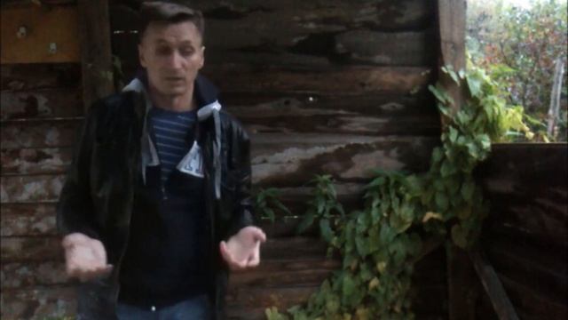 Покраска антисептиком | тест смотреть онлайн