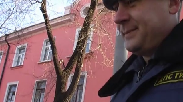 ГИБДД Благовещенска: ИДПС не знает ПДД