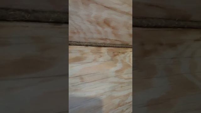 Конопатка Срубов #конопаткасрубов #конопатка #шлифовкасрубов #шлифовка смотреть онлайн
