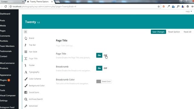 Globally disable Page Title (WordPress Theme: TwentyPlus) смотреть онлайн