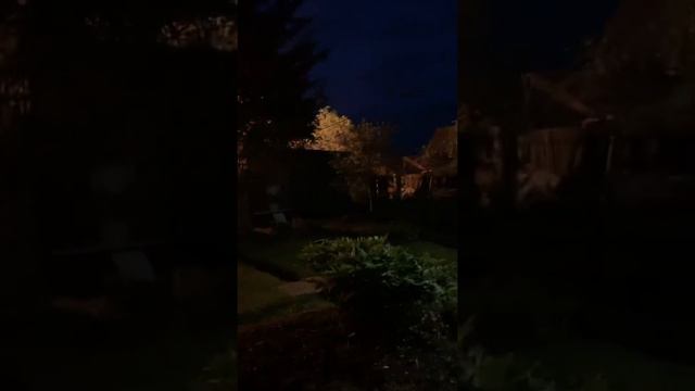 Пожар у соседей по даче (( смотреть онлайн