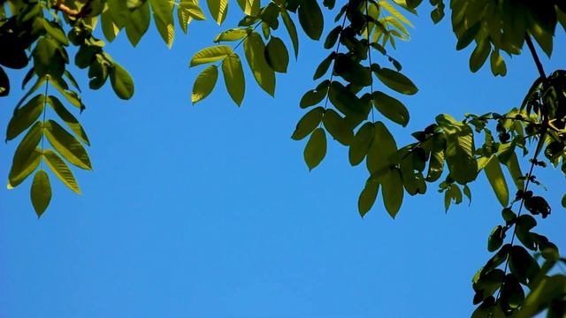 ПАСХАЛЬНЫЕ ПЕСНИ | Песни на Пасху | 2023