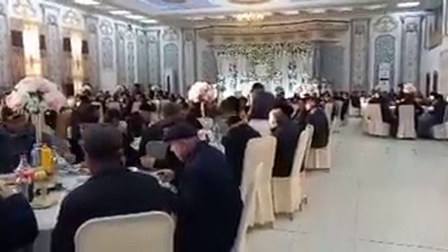 BERUNIY TOY,ILYAS SULTANOV,AYAGOZ QAYDA BARASIN.#beruniy #toy #tamada #qaraqalpaqstan #nukus #ayago