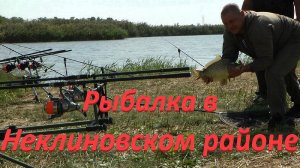 РЫБАЛКА КАРП, ТОЛСТОЛОБ !!!