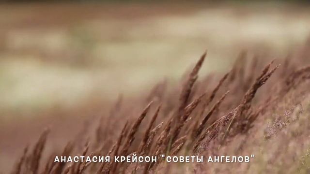 Медитация с Хранителем Рода на очищение силой 4 стихий. смотреть онлайн