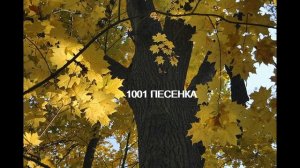 СТАРЫЙ КЛЕН -русская -народная песня