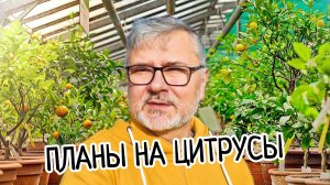 Начинаю БОЛЬШОЙ проект! Буду строить гигантскую теплицу для цитрусов 2800 кв.м! Лимонарий. Начало.