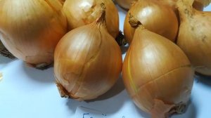 Лук шалот Березовский аристократ видео 23