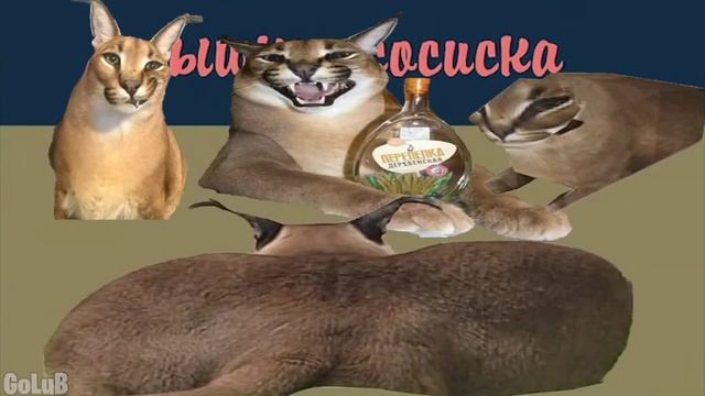 шлёпа ищет пельмени смотреть онлайн