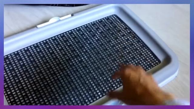 ТУАЛЕТ ДОМА для собак ✔️ ИЗБАВИЛИСЬ ОТ ЛУЖ И ЗАПАХА ✔️ Лоток для щенка. смотреть онлайн