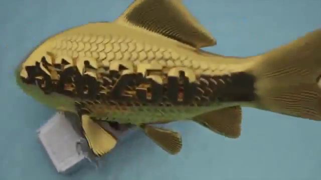 Jeunesse Монополия это наш путь в будущее смотреть онлайн