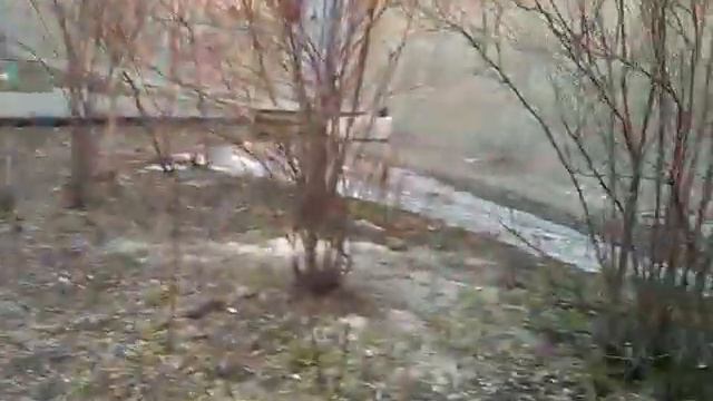 бухарик из коркино смотреть онлайн