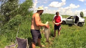 Рыбалка в Курске. Липник