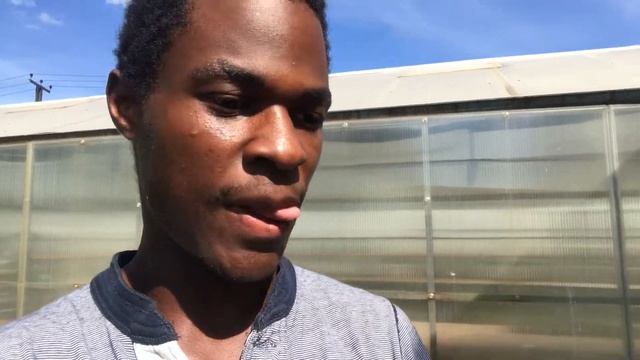 Анекдот про чёрных смотреть онлайн