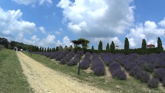 Долина Лефкадия. Крымский район. Классное место для отдыха и крутых фотосессий. смотреть онлайн